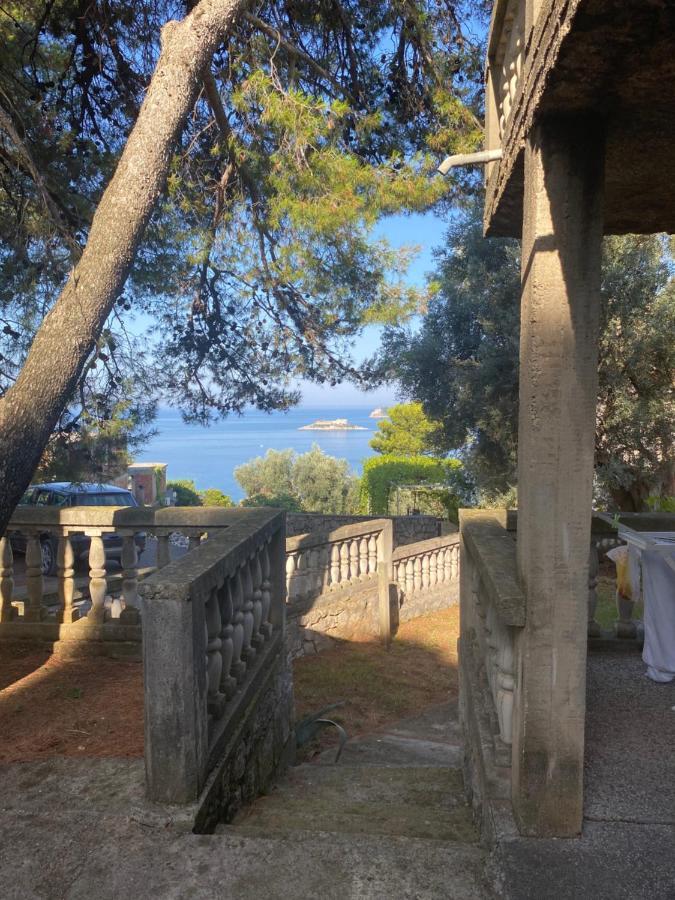 Apartman Novica Herceg Novi Exteriör bild